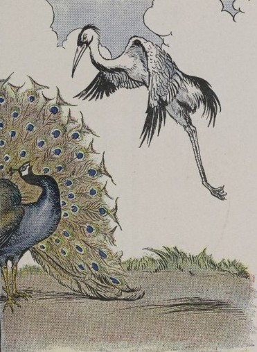 THE PEACOCK AND THE CRANE