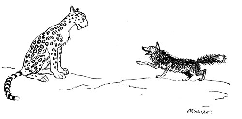THE FOX AND THE LEOPARD