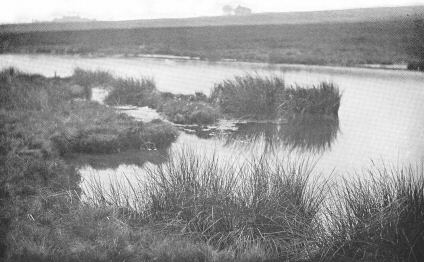 Moorland scene (with water): Haworth
