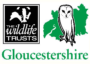 Click here to show your support for The Wildlife Trusts